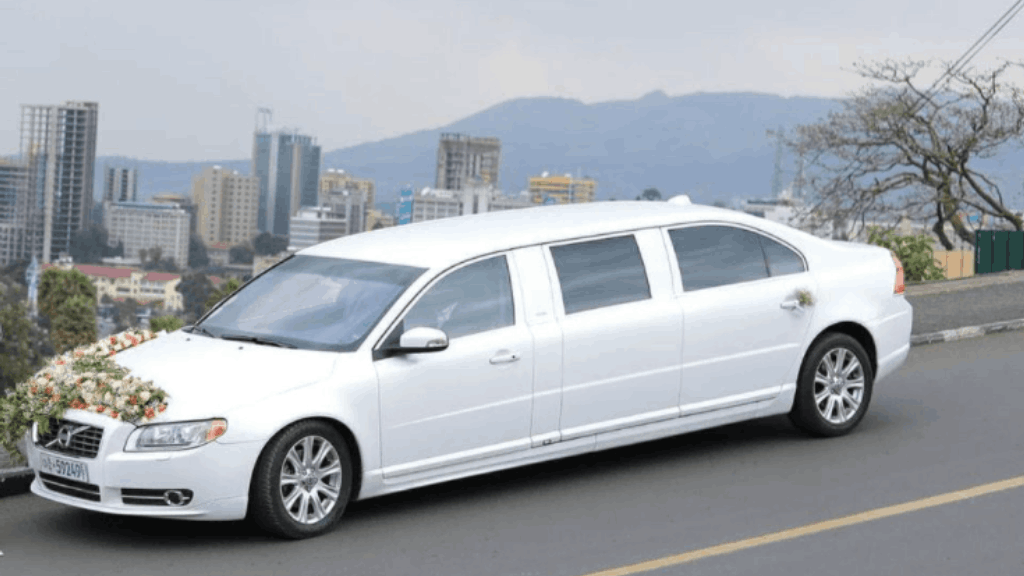 Limousine Rental